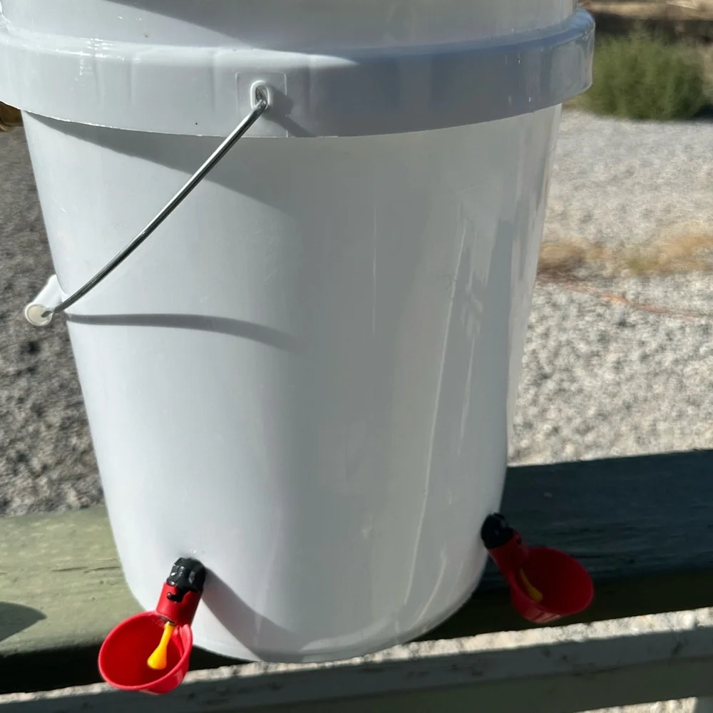 Automatic water, feeder, automatic food feeder